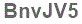 The text to enter in the texbox below is: BnvJV5