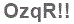 The text to enter in the texbox below is: OzqR!!