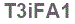 The text to enter in the texbox below is: T3iFA1
