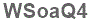 The text to enter in the texbox below is: WSoaQ4