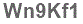 The text to enter in the texbox below is: Wn9Kf1