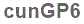 The text to enter in the texbox below is: cunGP6