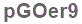 The text to enter in the texbox below is: pGOer9